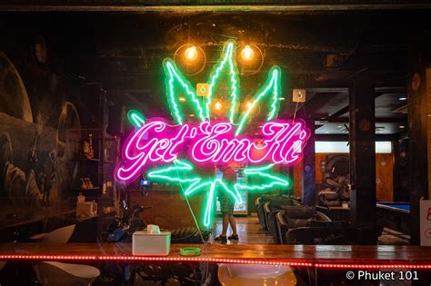 Cannabis in Phuket .